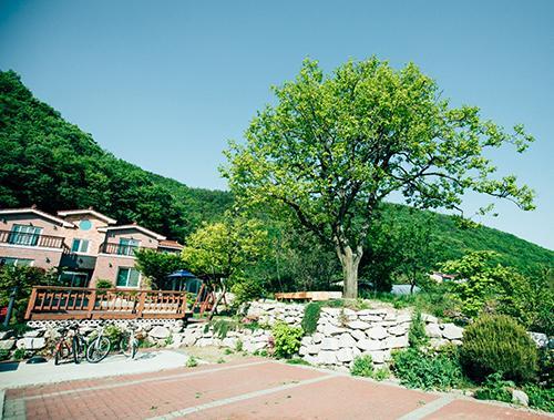 Utopia Pension Gyeongju Eksteriør bilde